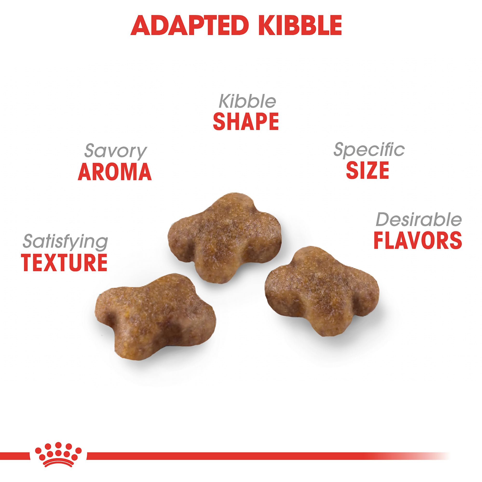 ROYAL CANIN: croquetas pequeñas, fáciles de masticar para gatitos.