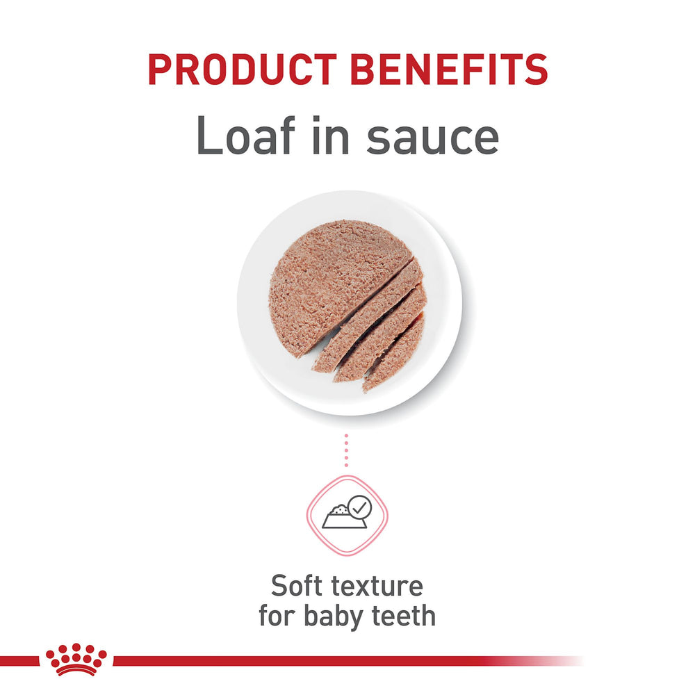 Etiqueta de Royal Canin Kitten Loaf: presentación que inspira confianza en la nutrición.
