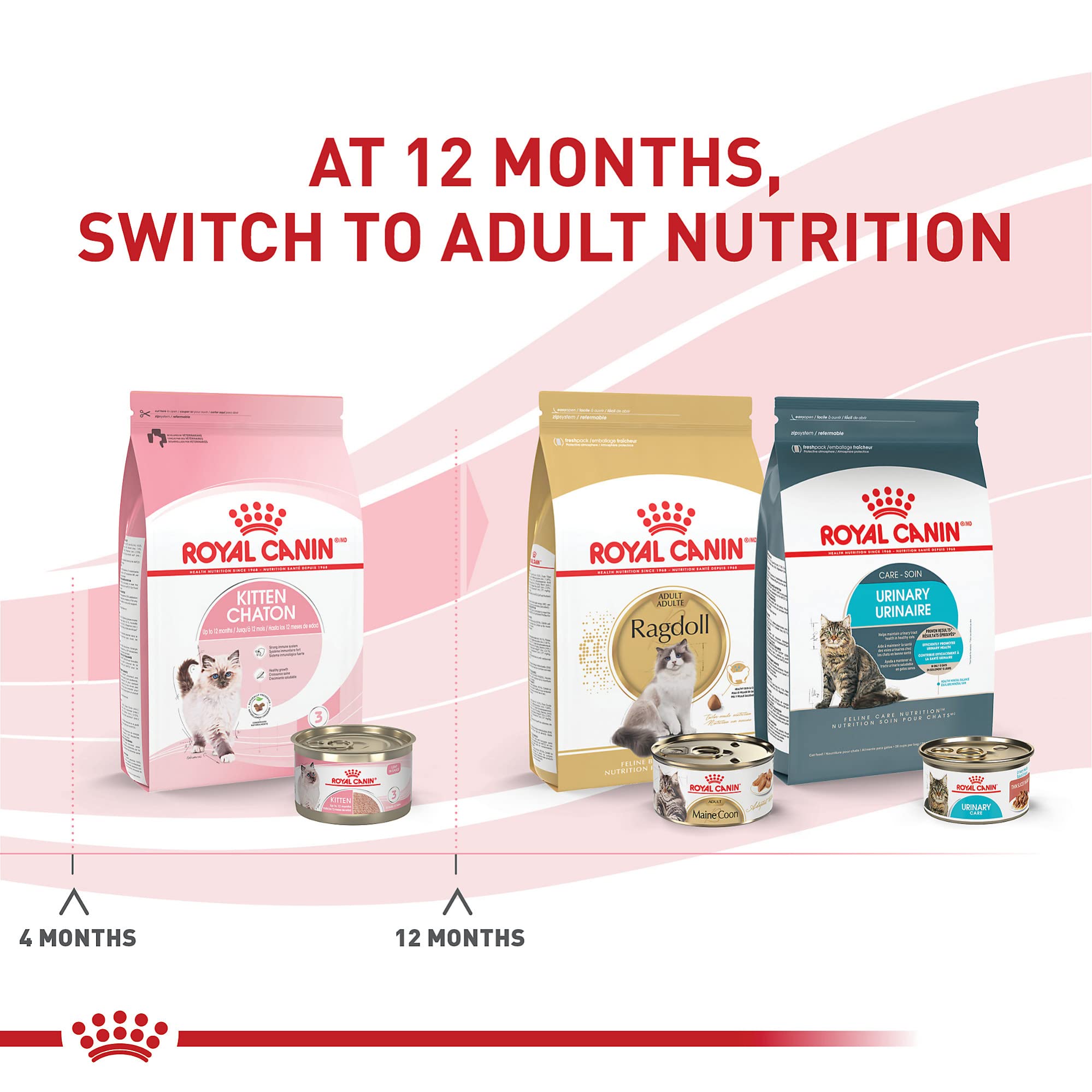 Royal Canin para gatitos en salsa, textura blanda.