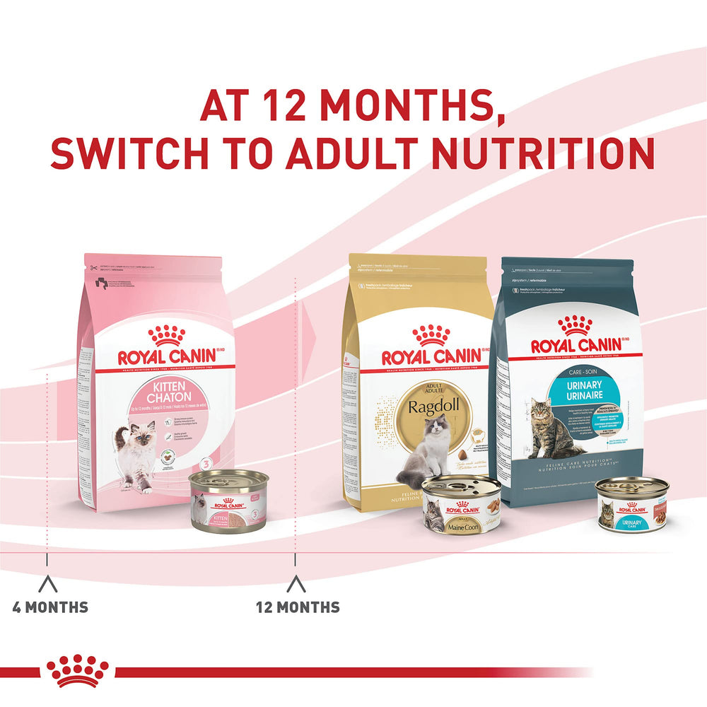 Royal Canin para gatitos en salsa, textura blanda.