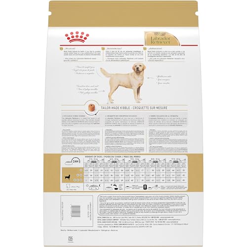 Royal Canin Labrador adulto croquetas en forma de aro para comer despacio