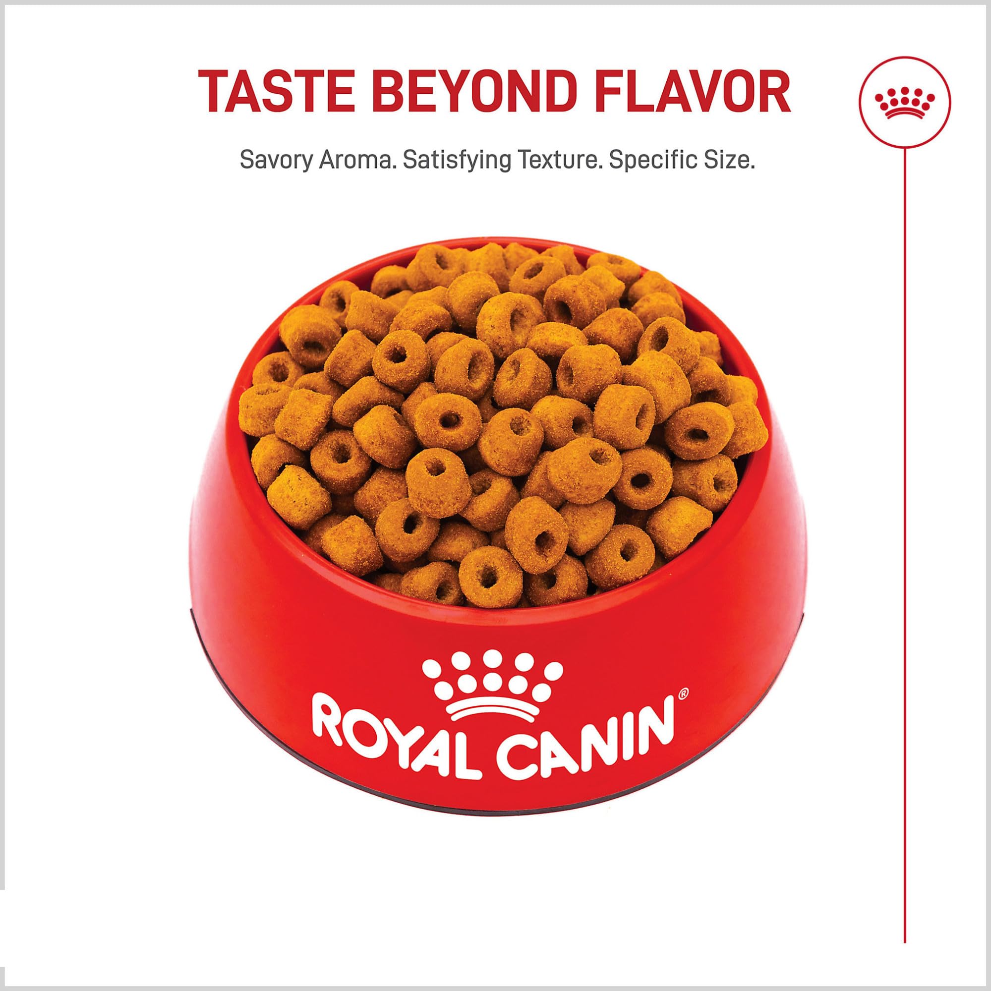 Compromiso de seguridad y calidad en la nutrición de Royal Canin