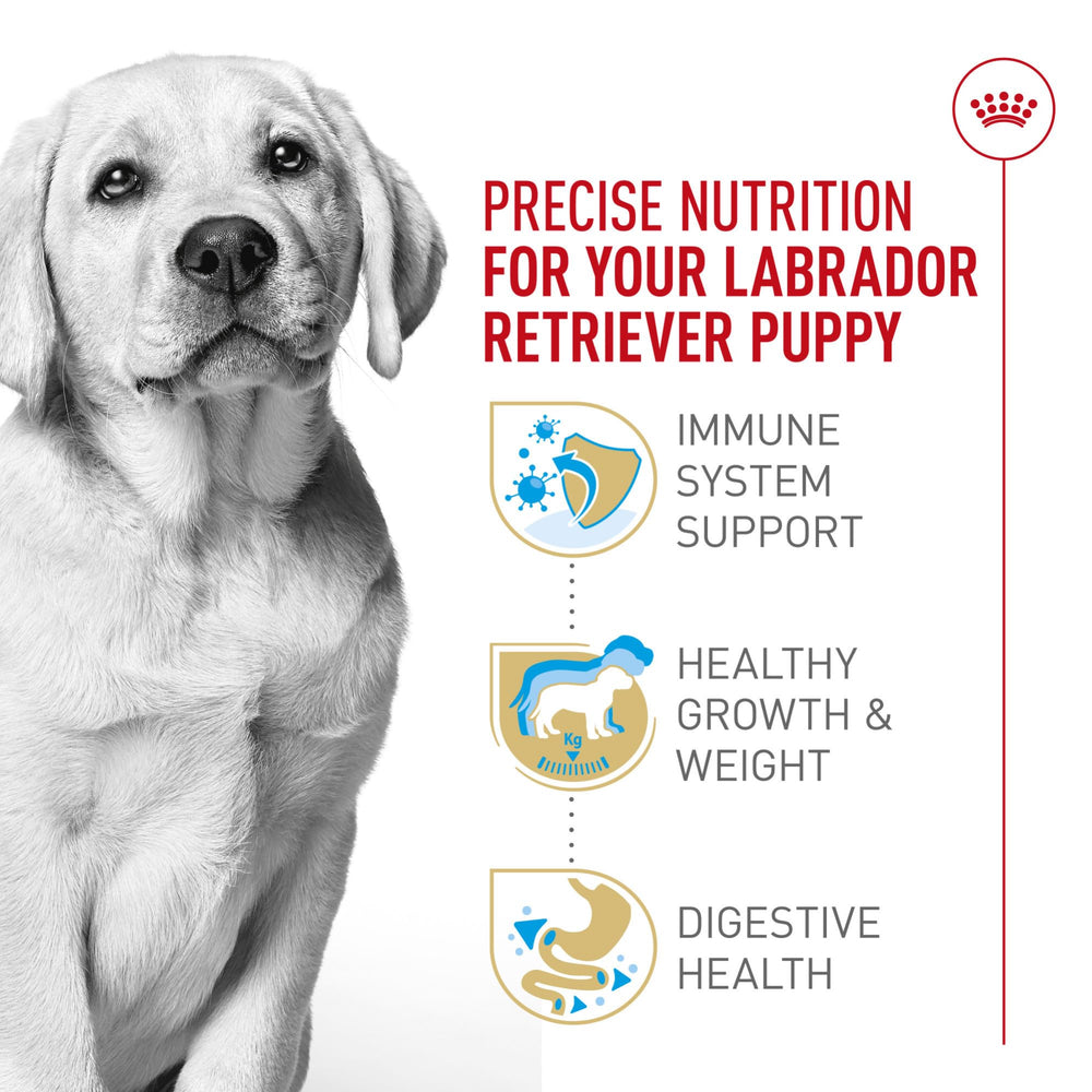 Royal Canin Labrador Puppy: croqueta en forma de dona con calcio y fósforo.