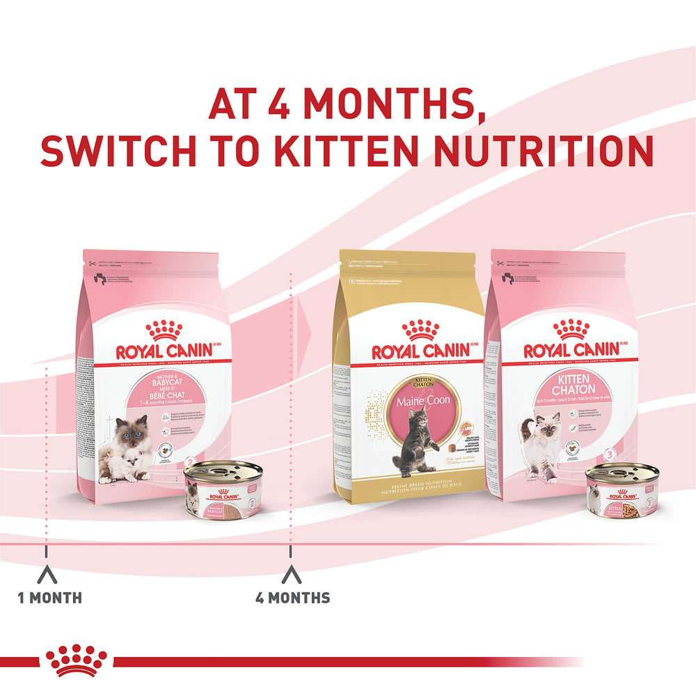 Lata de Royal Canin para gatitos; mousse en salsa lista para servir