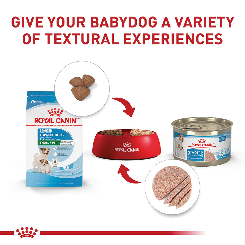 Royal Canin Mousse en Salsa: energía para gestación y lactancia