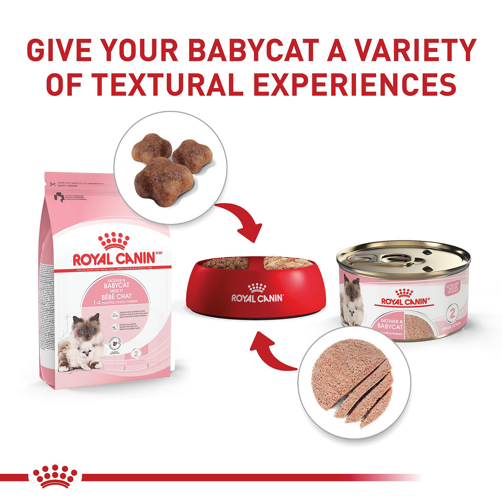 Royal Canin transición de lactancia a sólido para gatitos destetados