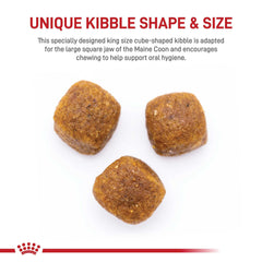 Croquetas cuadradas de Royal Canin Maine Coon para masticación estable y salud dental