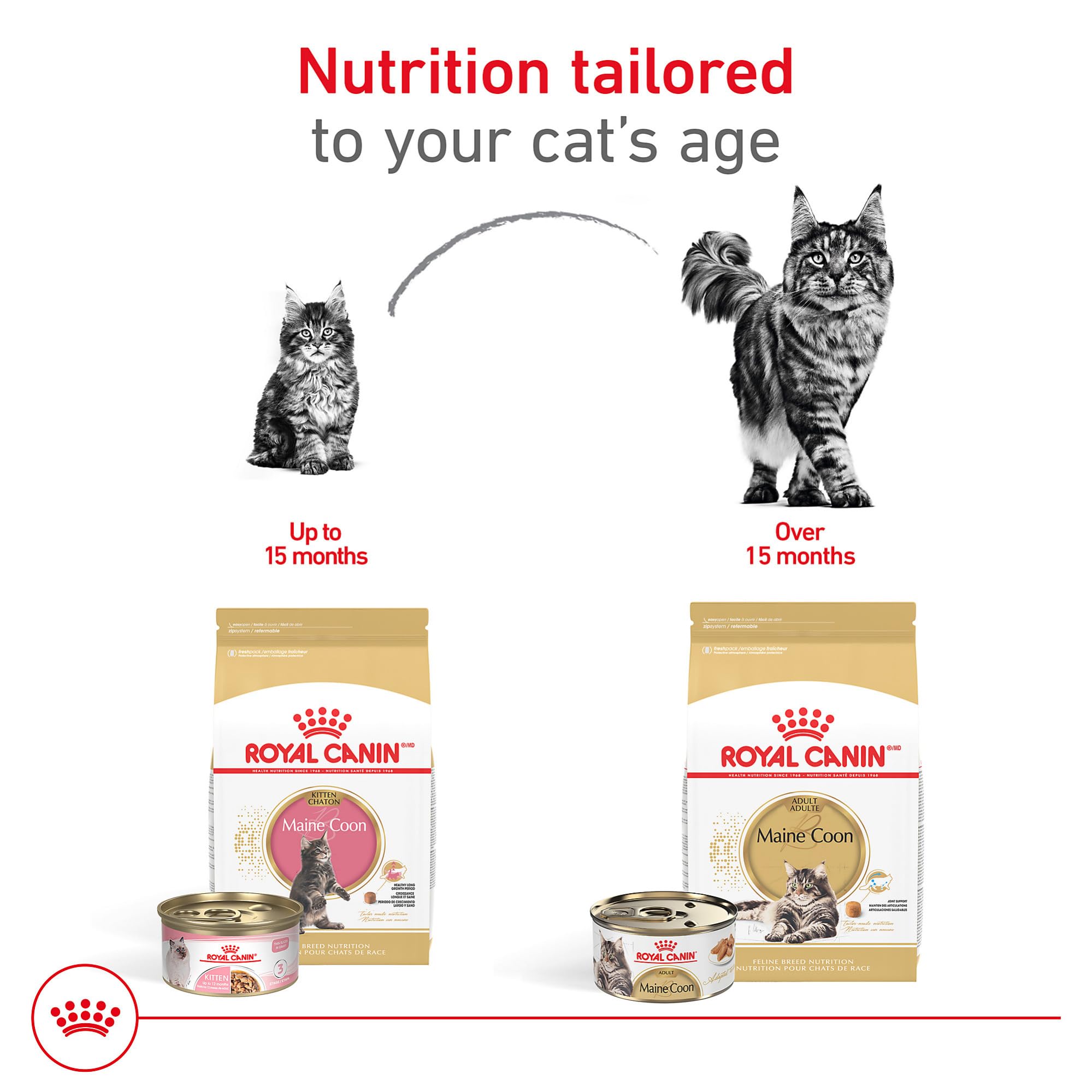 Croquetas con diseño para mandíbulas cuadradas de Royal Canin Maine Coon