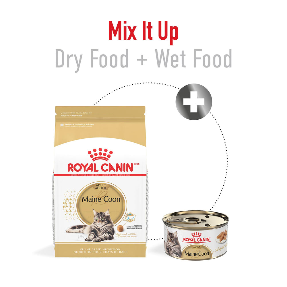 Piel y pelaje brillantes gracias a la fórmula de Royal Canin Maine Coon