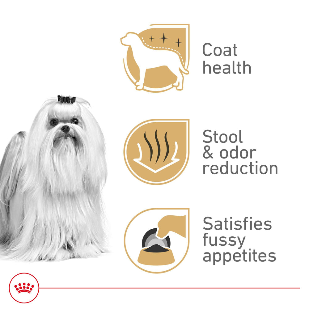 Royal Canin Maltese Adult, fórmula digestiva con proteínas de alta digestibilidad