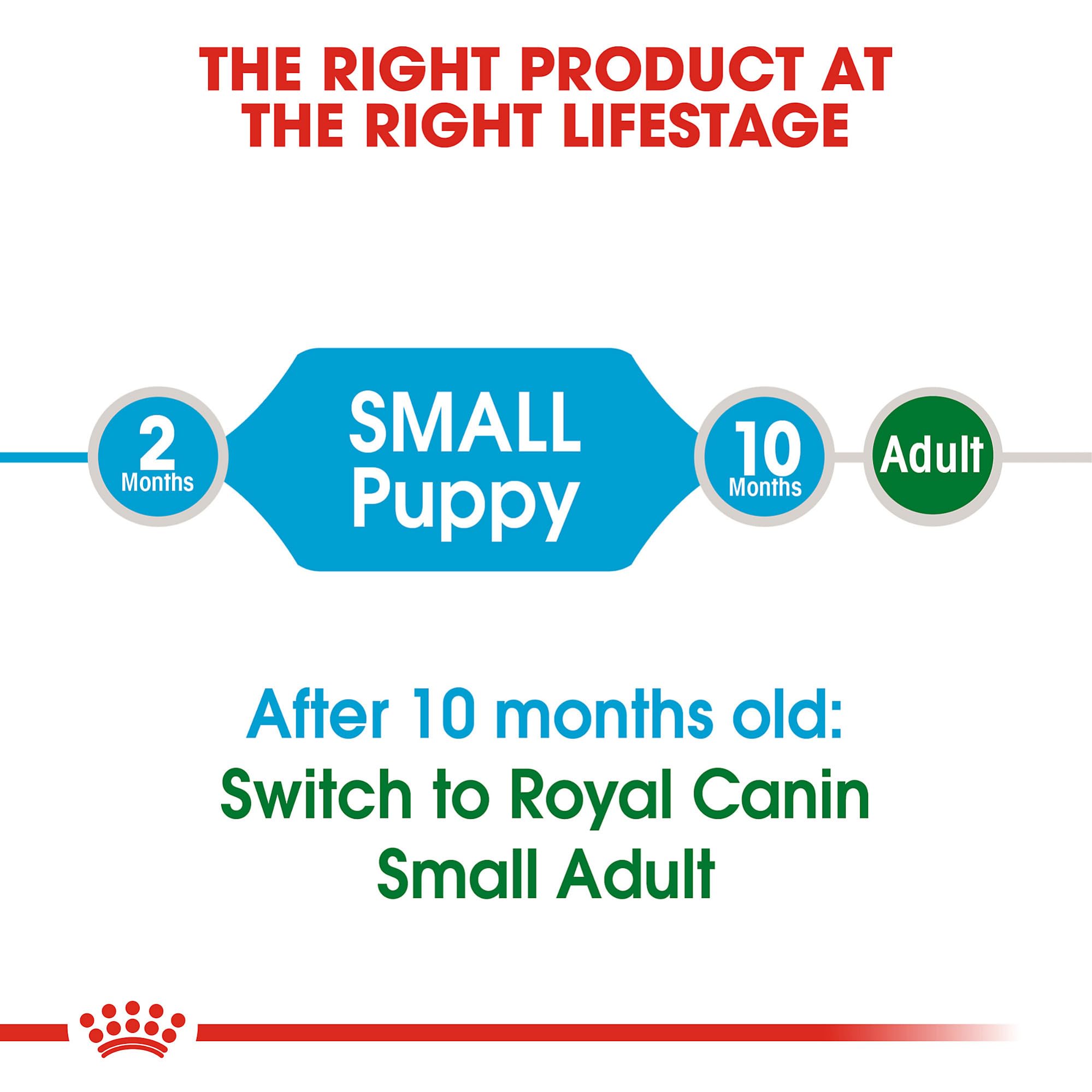 ROyAL CANIN: mezcla de dieta seca y húmeda para variedad.