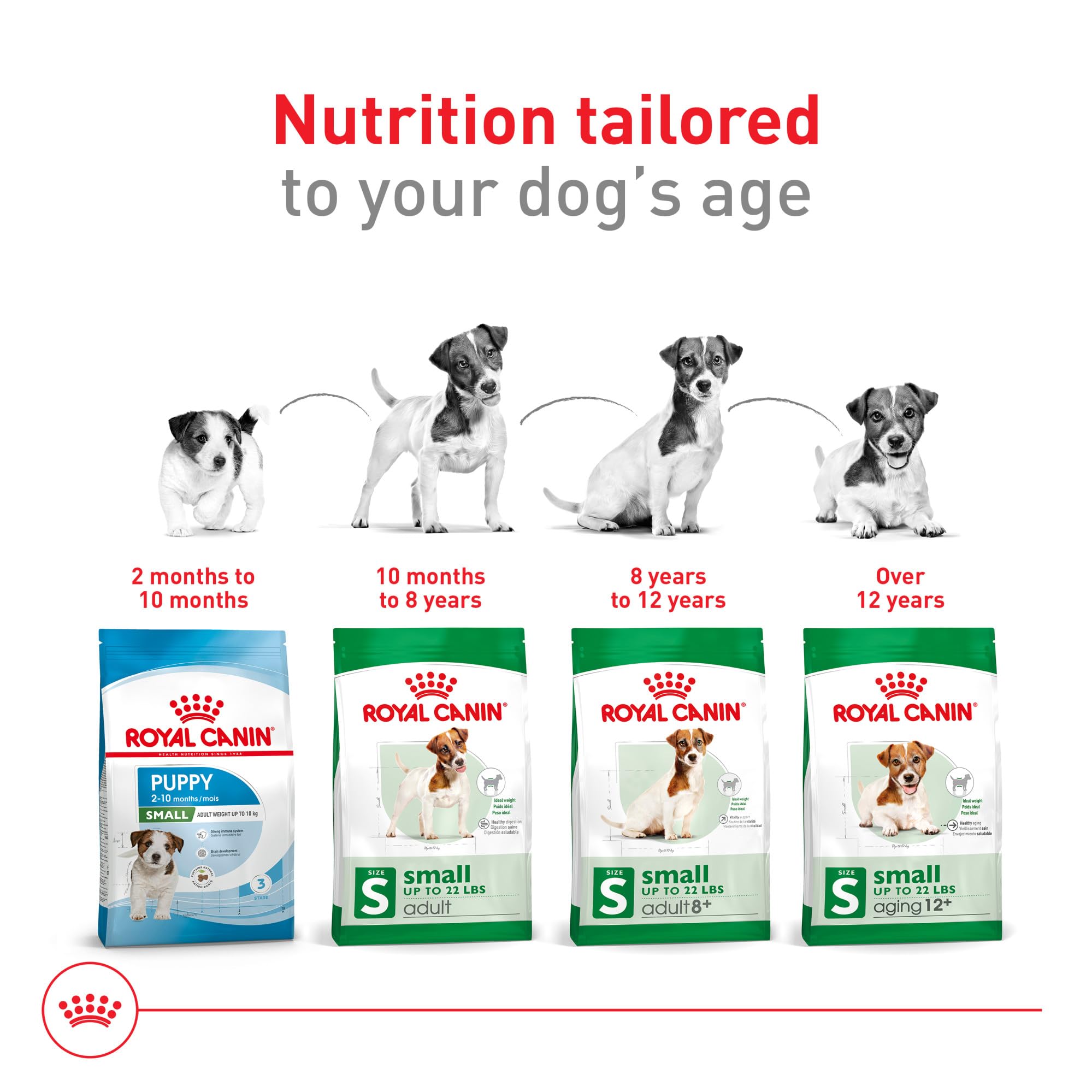 Royal Canin mezcla seca y húmeda para mayor palatabilidad.