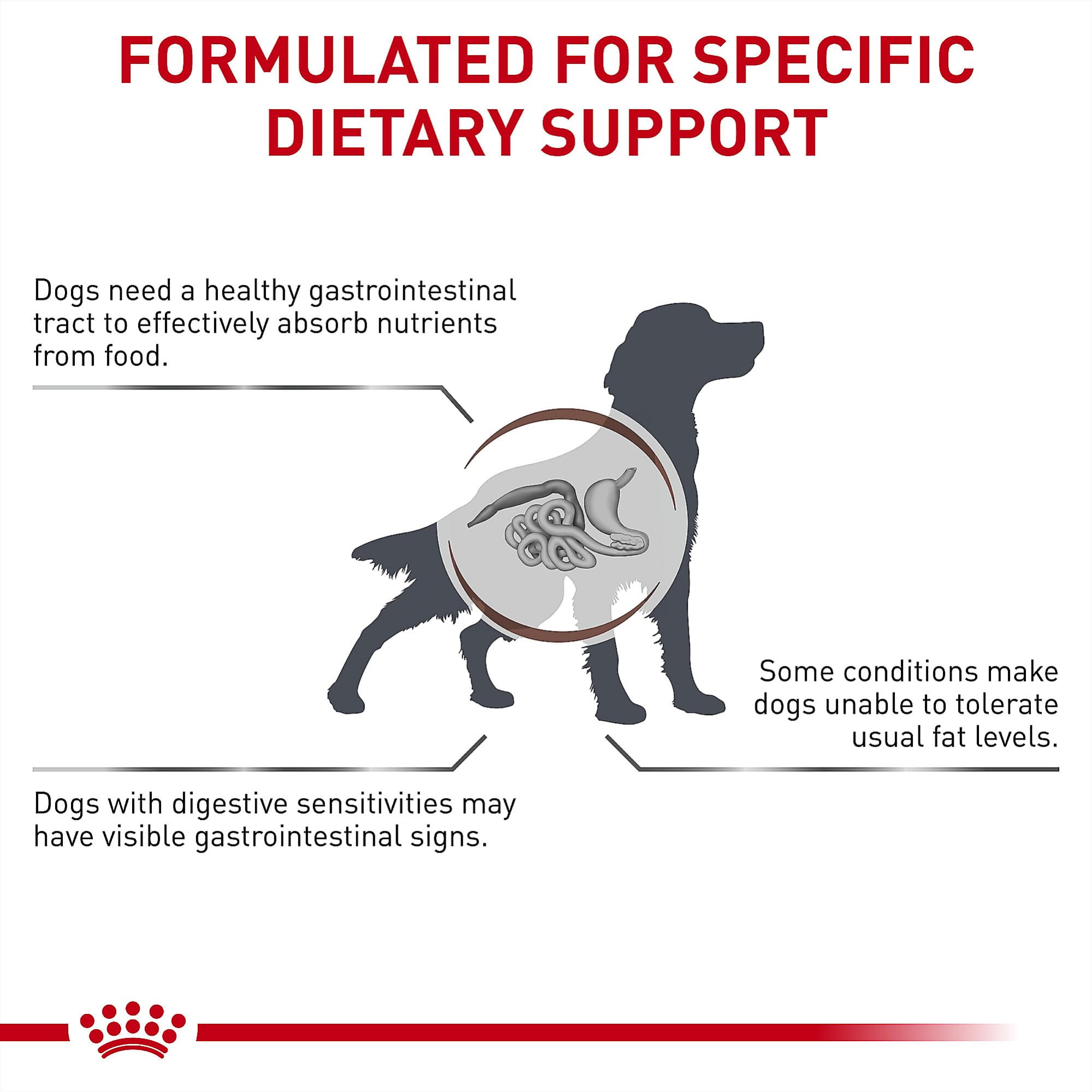 Royal Canin mezcla de alimento seco y húmedo para variedad.