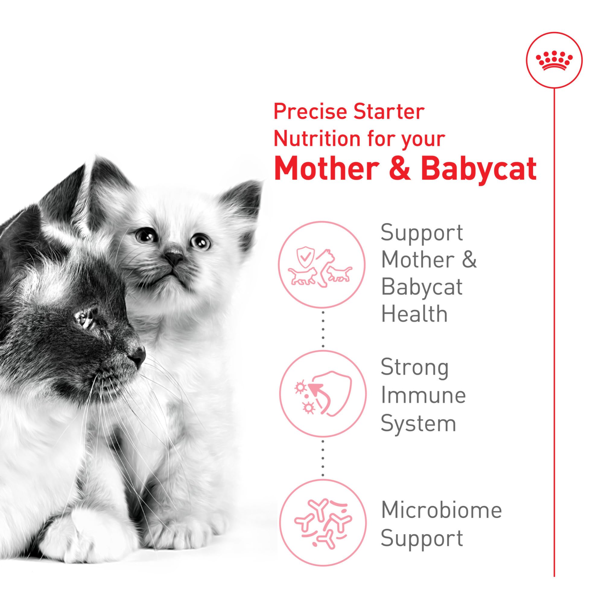 Royal Canin microbioma digestivo, fórmula para equilibrio intestinal en gatitos.