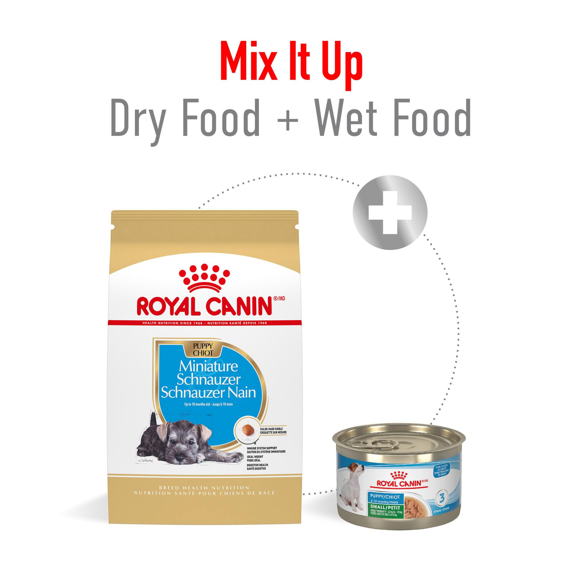Royal Canin Schnauzer Miniatura Puppy, control de peso con nutrientes moderados y carnitina.