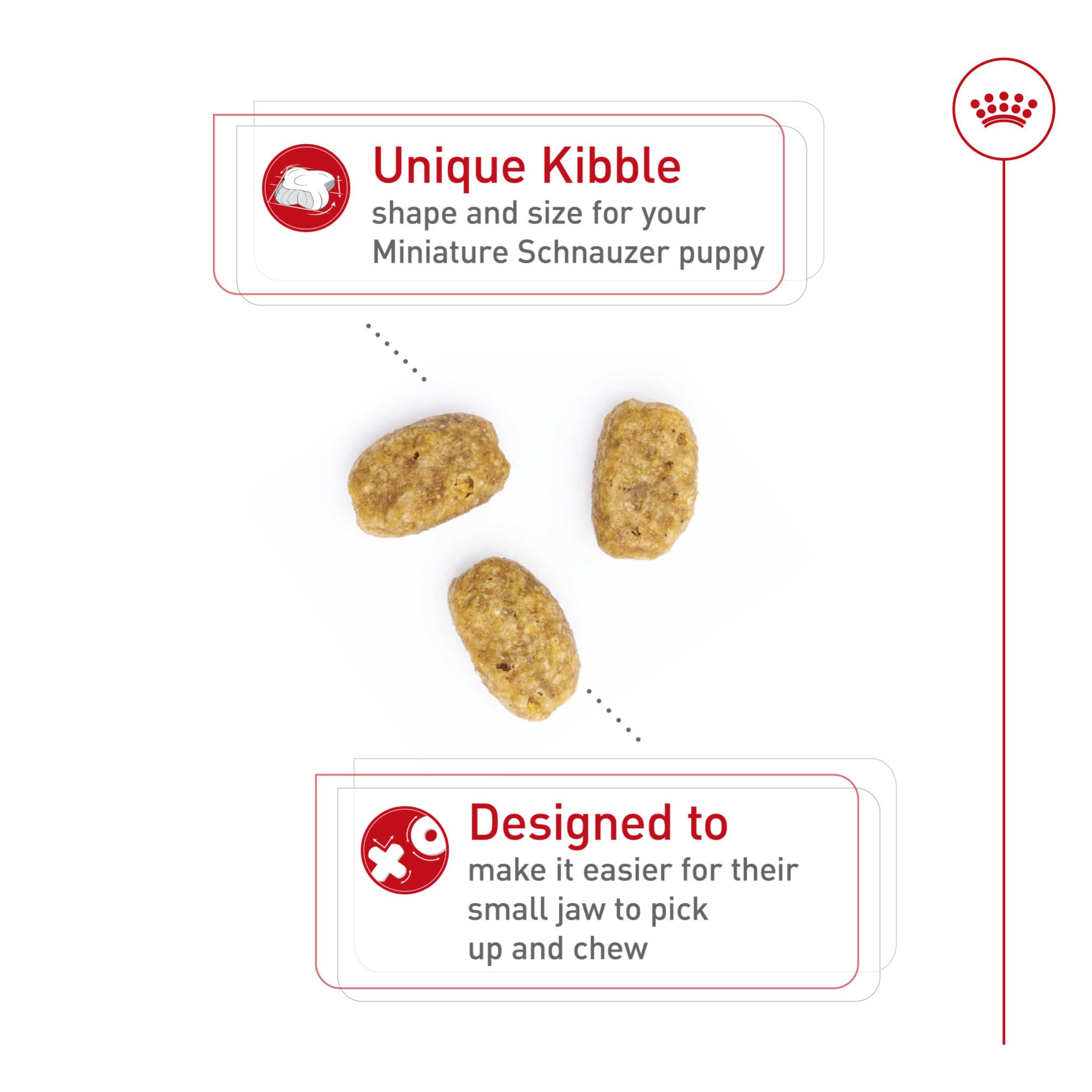 Royal Canin Schnauzer Miniatura Puppy, croquetas con forma especial para mordida pequeña.