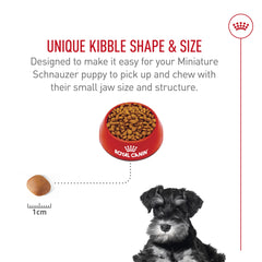 Royal Canin Schnauzer Miniatura Puppy, soporte digestivo con proteínas de calidad y prebióticos.