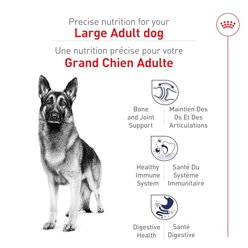 Royal Canin tamaño grande digestión óptima con fibra y prebioticos.