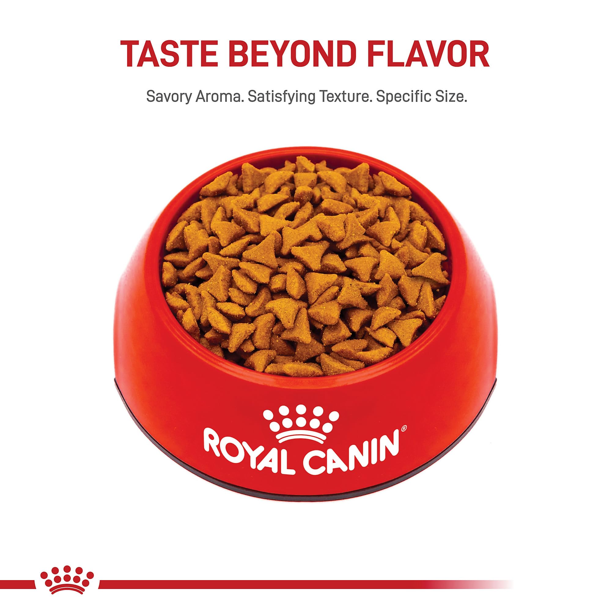 ROYAL CANIN: nutricion-felina-seco, pensado para gatos con sensibilidad digestiva.