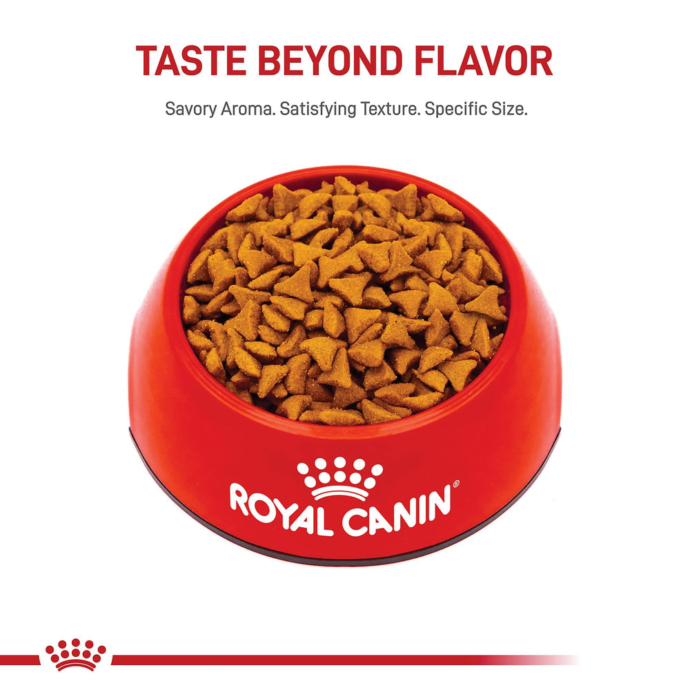 ROYAL CANIN: nutricion-felina-seco, pensado para gatos con sensibilidad digestiva.