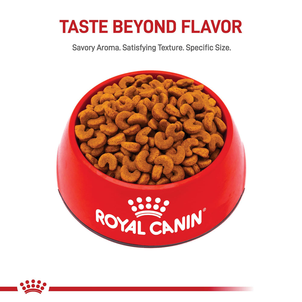 ROYAL CANIN Bulldog Francés Cachorro – apoyo inmunológico con antioxidantes en la dieta