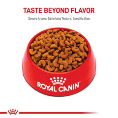 ROYAL CANIN Bulldog Francés Cachorro – apoyo inmunológico con antioxidantes en la dieta