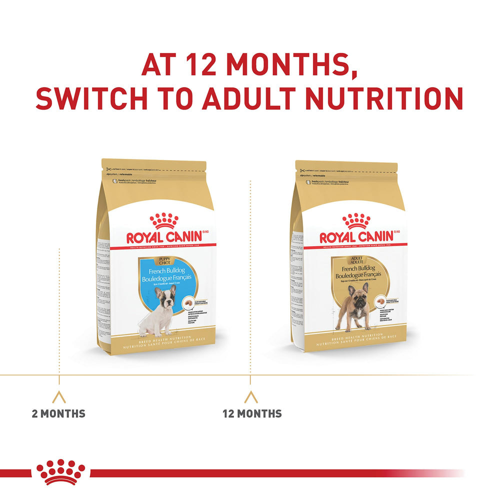 ROYAL CANIN Bulldog Francés Cachorro – dieta equilibrada para crecimiento