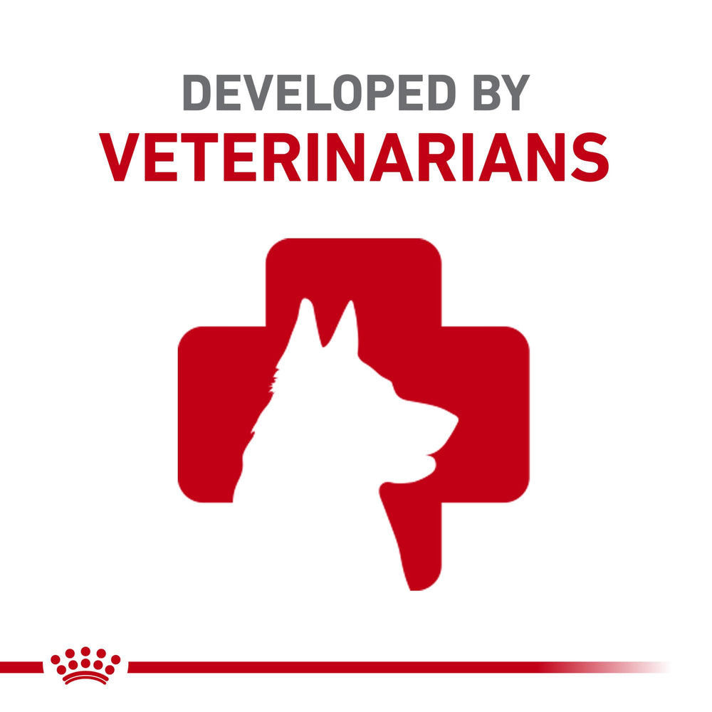 Royal Canin Bulldog Francés Cachorro – flora intestinal equilibrada