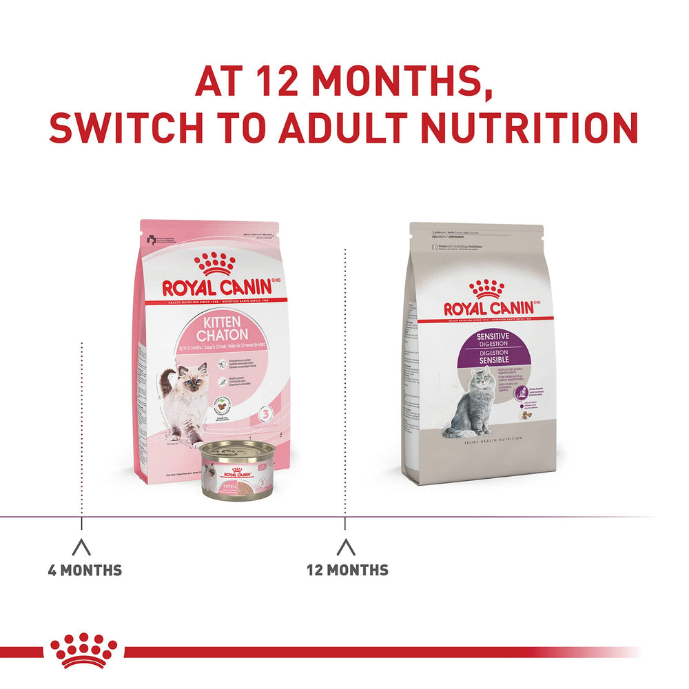 Royal Canin Nutrición seca completa y equilibrada para gatos adultos.