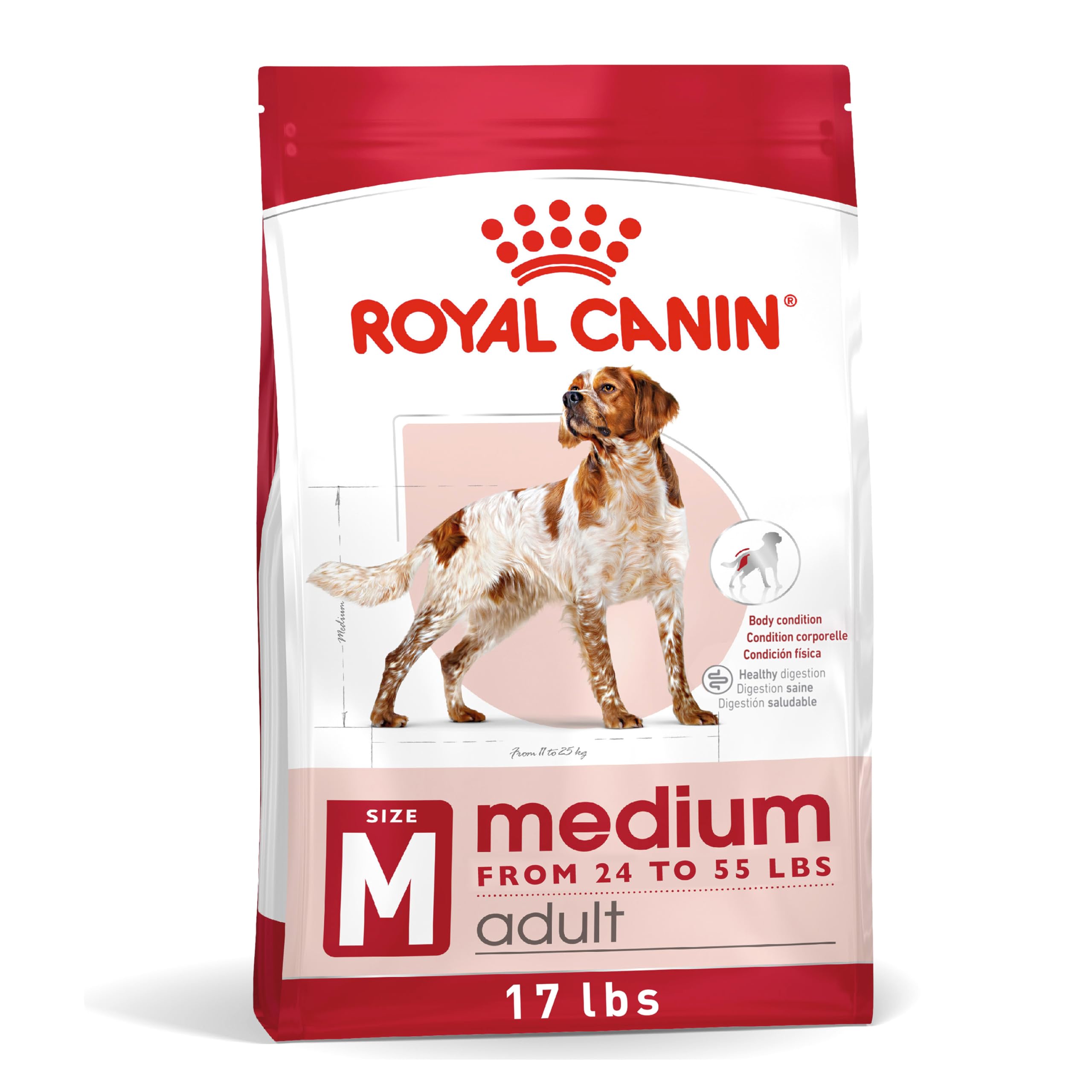 Royal Canin embalaje de tamaño mediano para perros adultos, fácil de identificar.