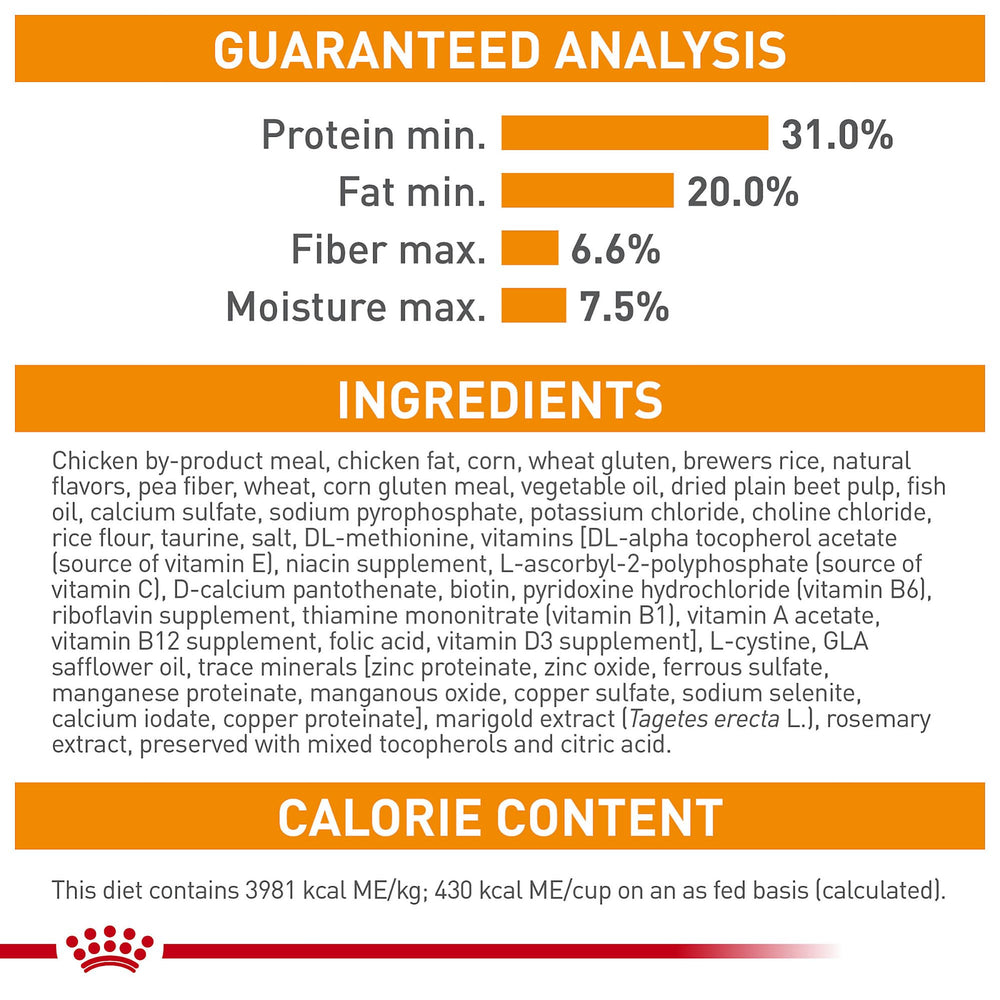 Royal Canin Hair & Skin Care combina con comida húmeda para balance diario.