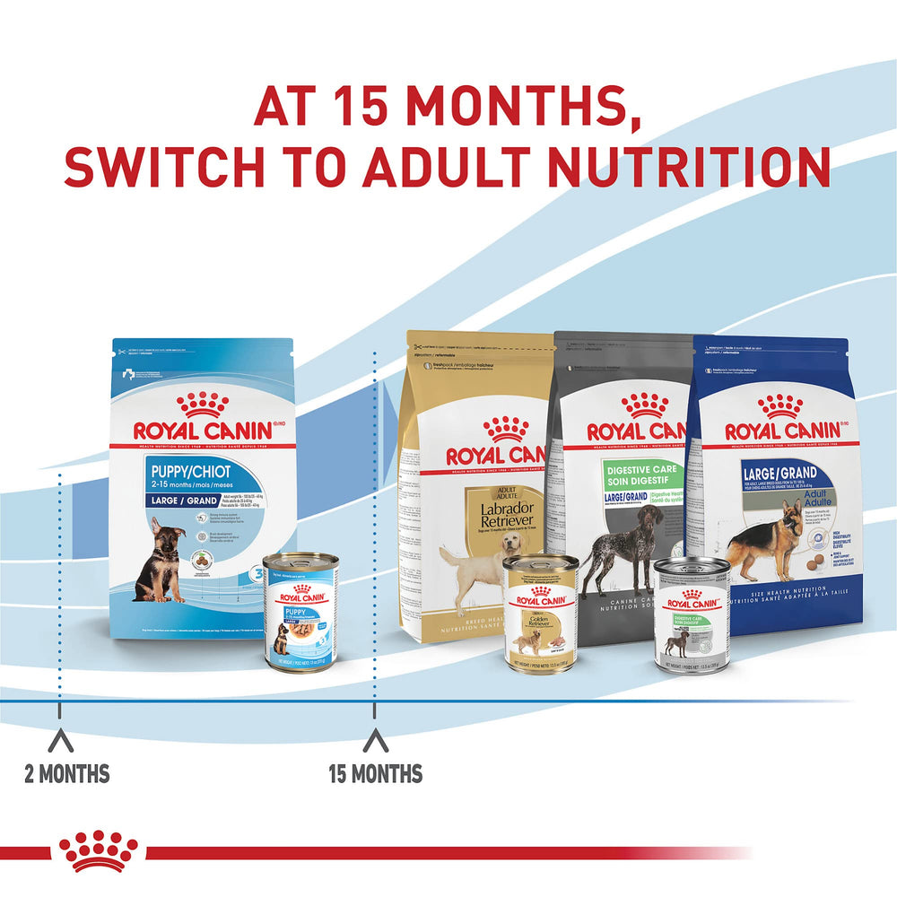 Royal Canin Cachorros de 2 a 15 meses - Comida húmeda completa para crecimiento