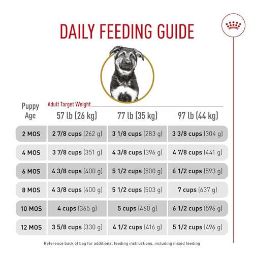 Royal Canin Pastor Alemán cachorro complemento para dieta seca