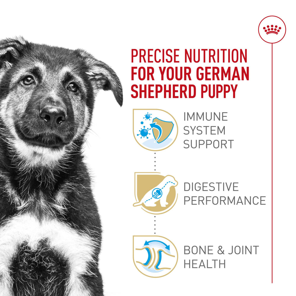 Royal Canin Pastor Alemán cachorro glucosamina y condroitina para articulaciones