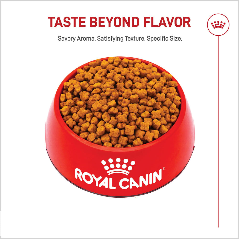 Royal Canin Pastor Alemán cachorro antioxidantes para la inmunidad