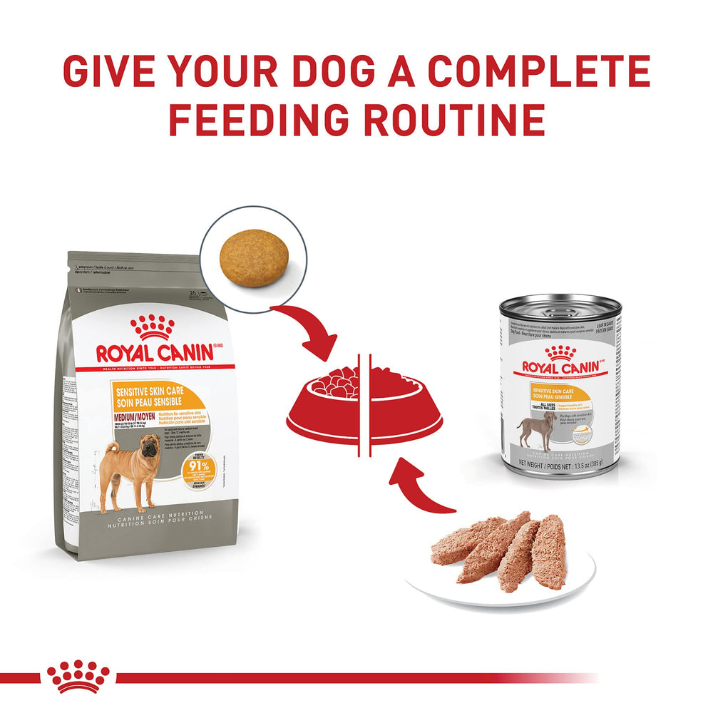 Pelaje brillante de perro mediano gracias a Royal Canin.