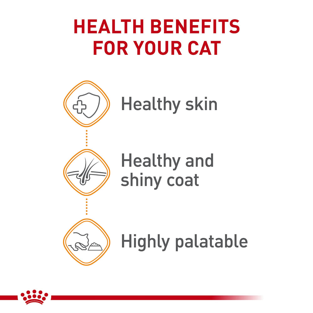 Primer plano de pelaje brillante gracias a Royal Canin.