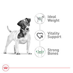 Apoya la salud del corazón en perros pequeños con Royal Canin Pequeño 8+ Senior.
