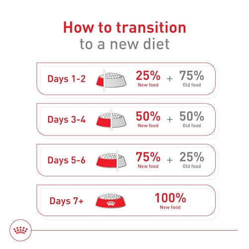 Ayuda a mantener el peso ideal para razas pequeñas con Royal Canin Pequeño 8+ Senior.
