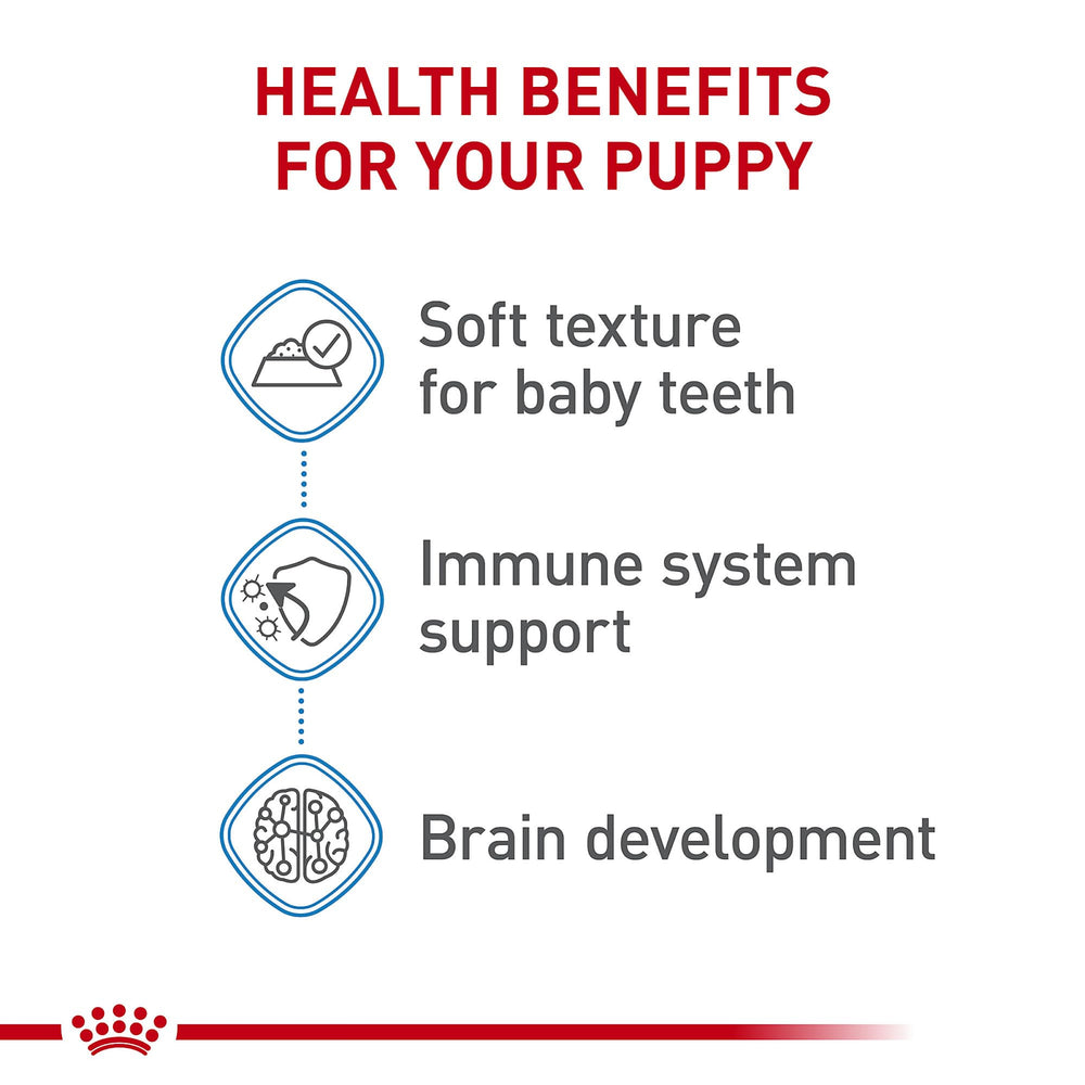 ROYAL CANIN Size Small Puppy apoyo a inmunidad con antioxidantes y vitaminas