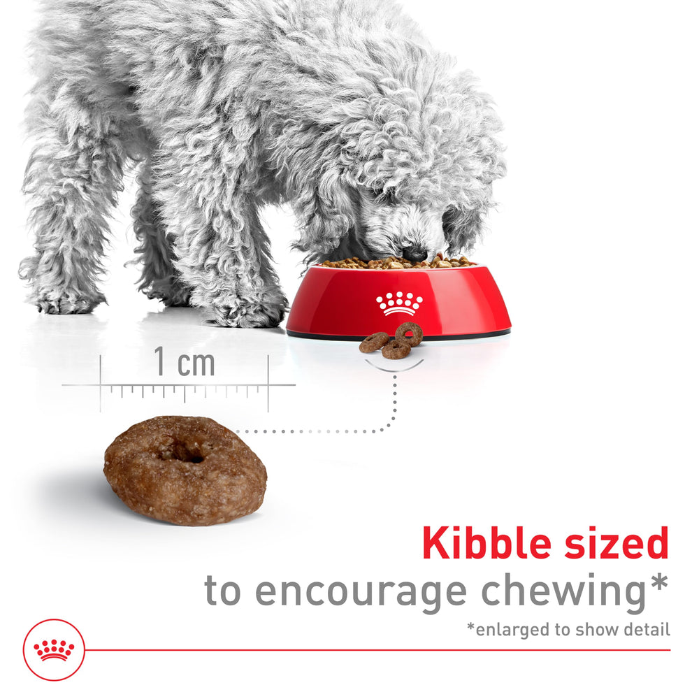 ROYAL CANIN Size Health Nutrition Small Aging 12+ para mantener peso ideal en perros pequeños.
