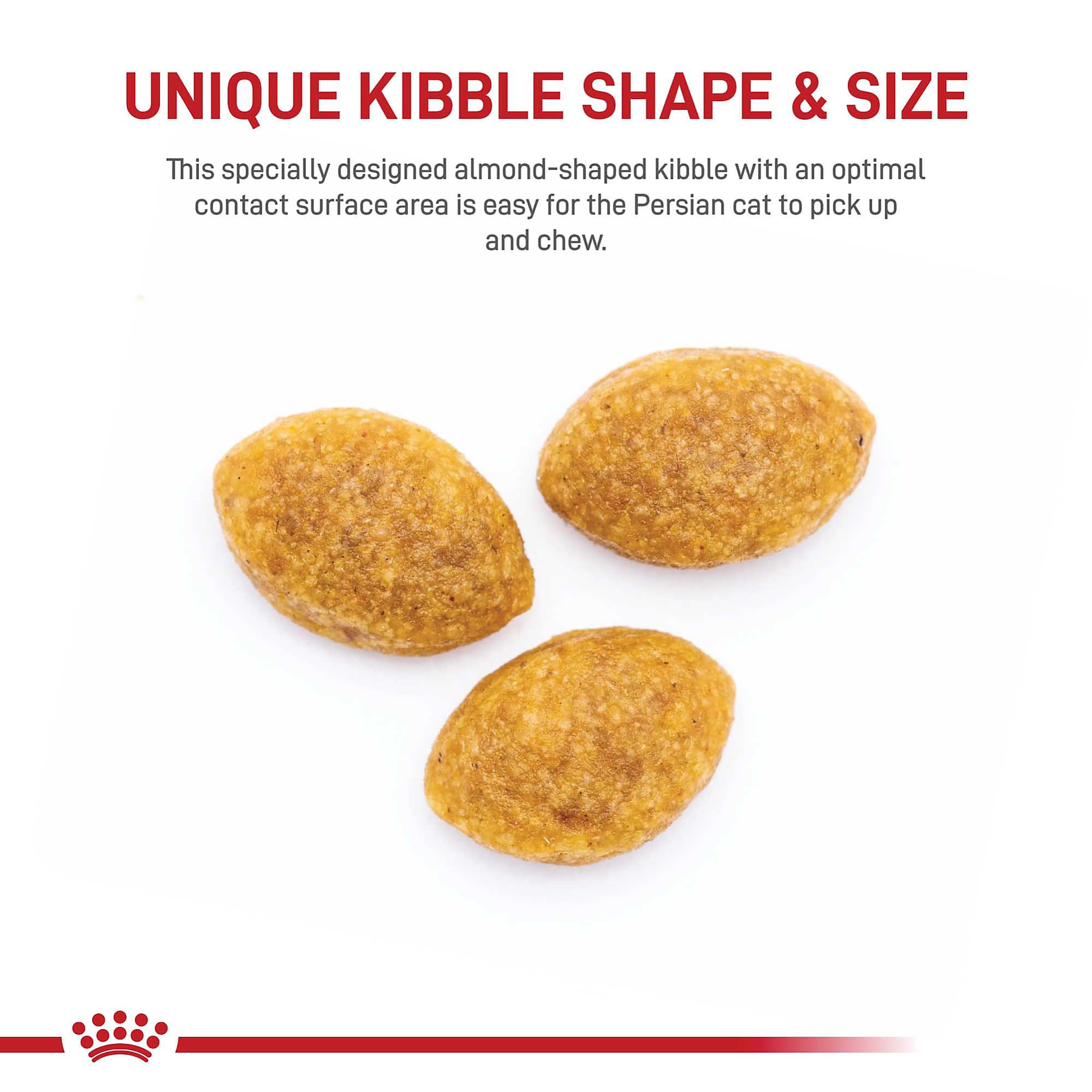 Croqueta en forma de almendra de Royal Canin Persa Adulta facilita la masticación.