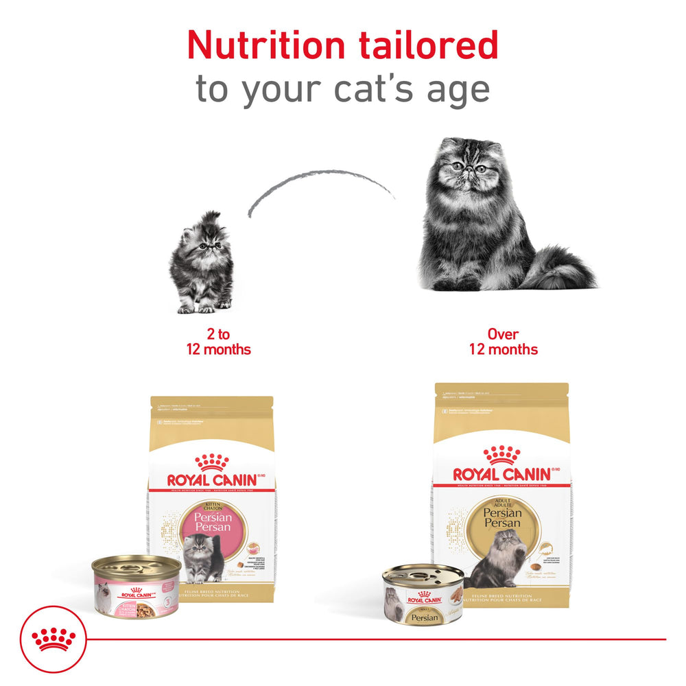 Digestión saludable con proteínas digestibles y prebióticos en Royal Canin Persa Adulta.