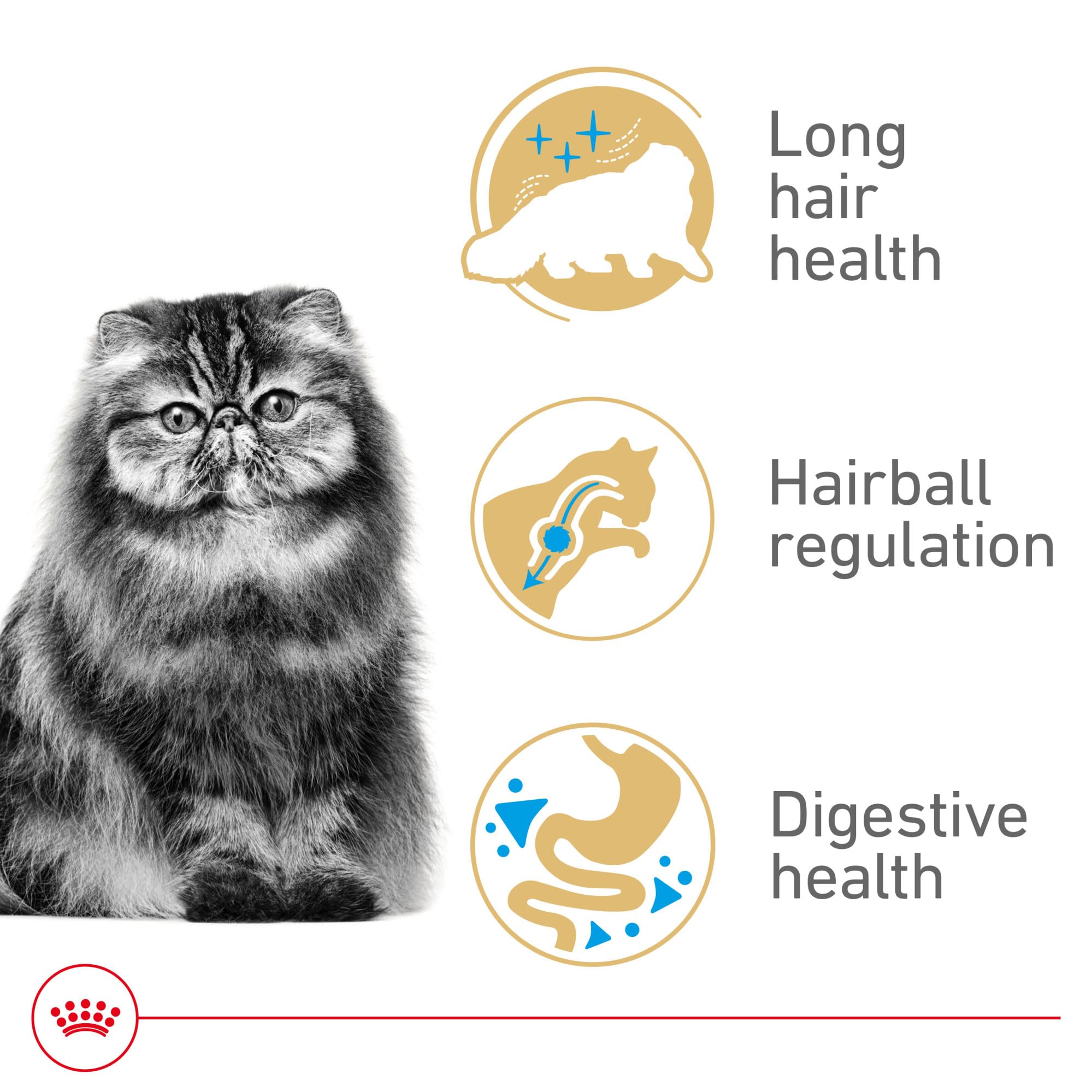 Royal Canin Persa Adulta ayuda a piel y pelaje suaves y brillantes.