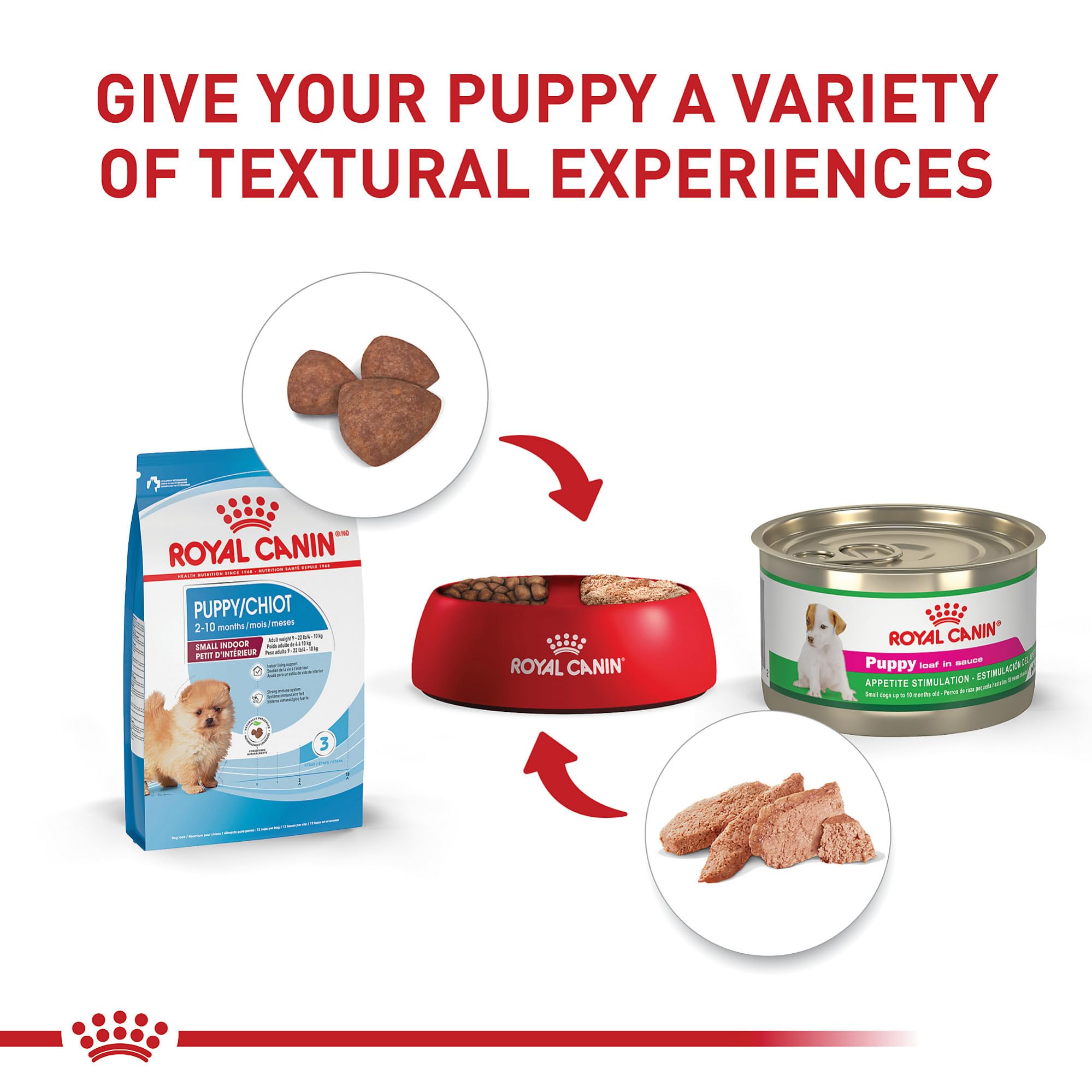 Royal Canin Size Indoor Puppy piel y pelaje brillantes gracias a DHA