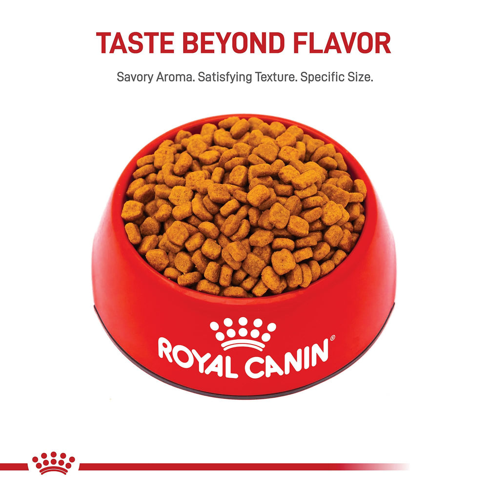 Royal Canin Poodle calidad-seguridad nutrición precisa para perros exigentes