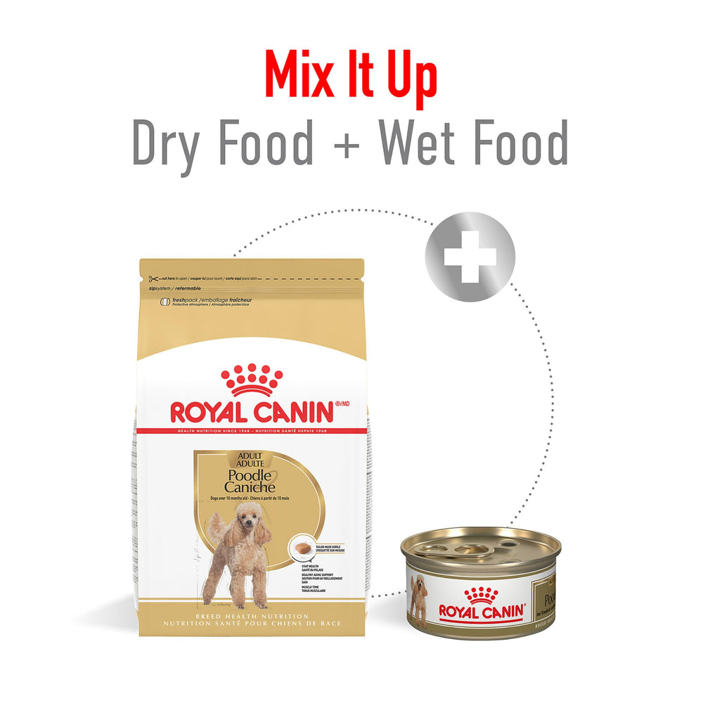 Royal Canin Poodle diseño-forma-kibble facilita la recogida por hocico recto