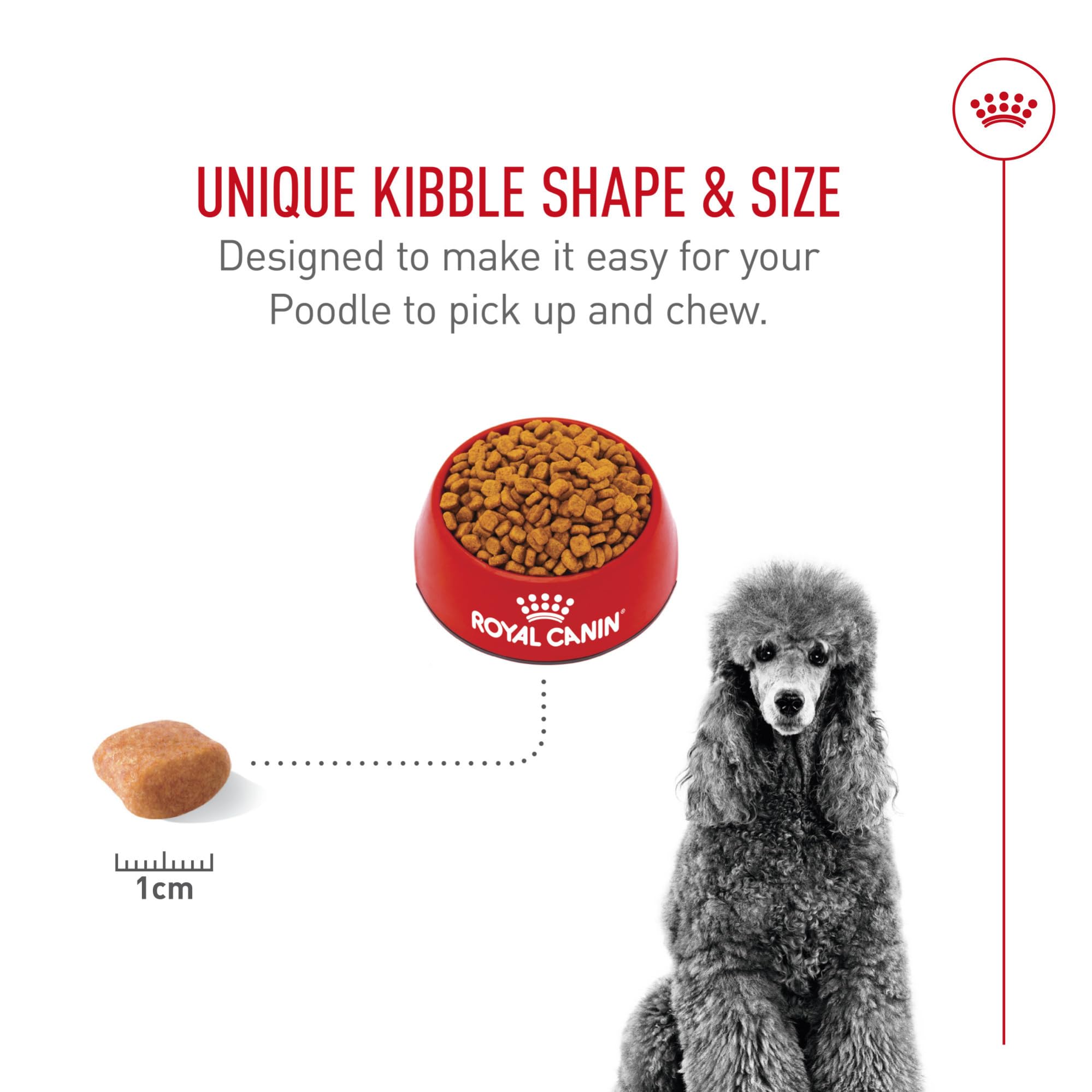 Royal Canin Poodle proteína-precisa apoya desarrollo muscular equilibrado