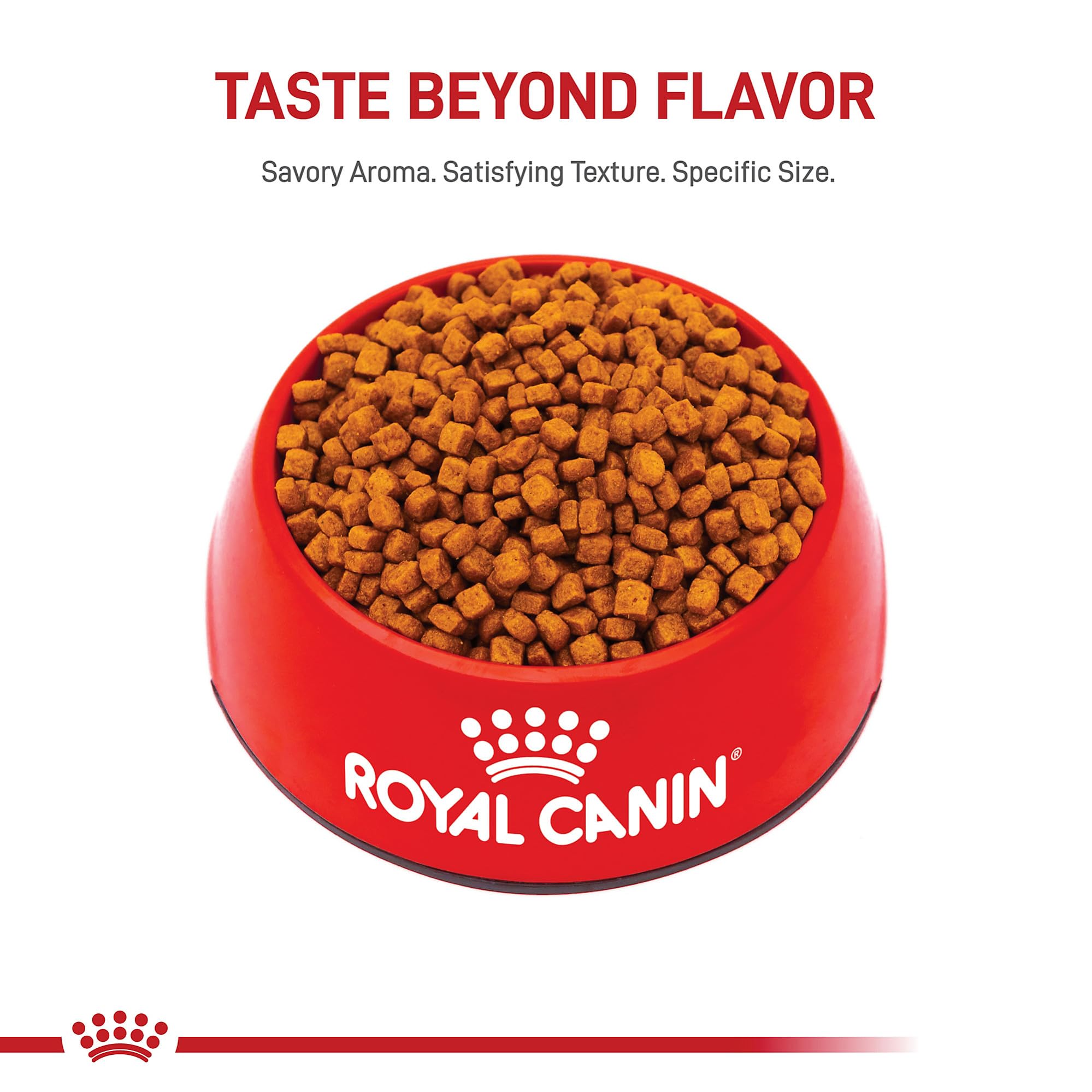 ROYAL CANIN Caniche Puppy: diseño de croqueta para hocico recto y masticación