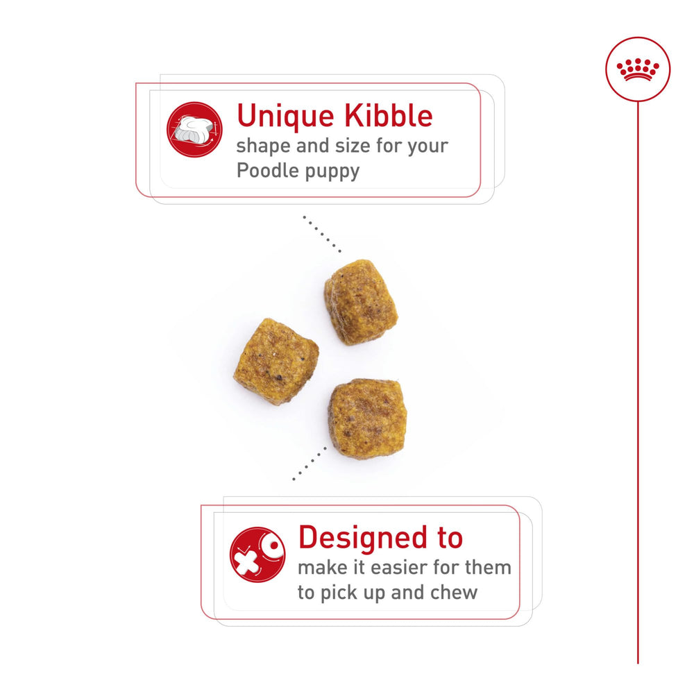 ROYAL CANIN Caniche Puppy: croqueta con diseño especializado para recoger y masticar